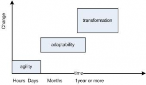Agility vs Adaptability, Agile vs Adaptable